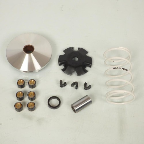 Variateur malossi pour scooter - pour,